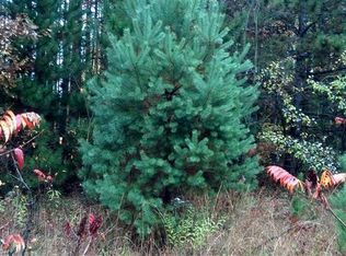 8778 Brave Rd, Howard city, MI 49329