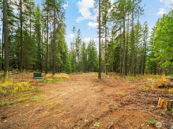 0 S Shugart Flats Road, Leavenworth, WA 98826