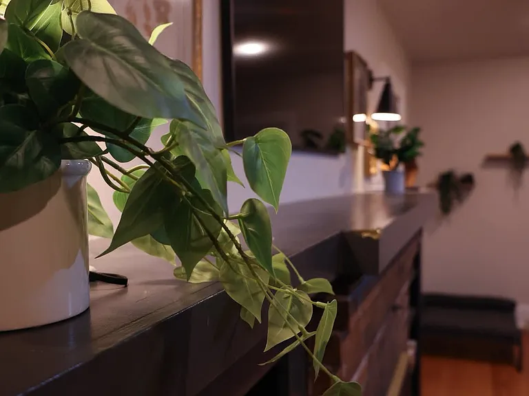 3410 James St — Photo 10