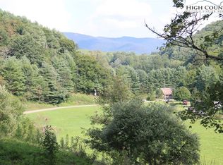 Tbd Baldwin Gap Rd, Zionville, NC 28698