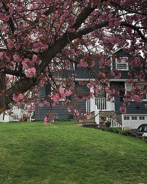 1st image of 276 Saint Cloud Ave