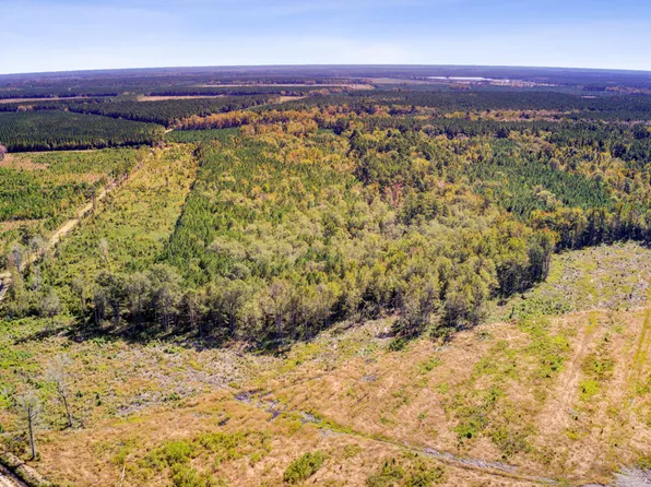 0 Thirty Five Mile Rd, Ridgeville, SC 29472