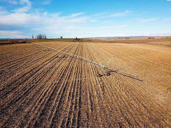 2nd image of Nka Albany Rd