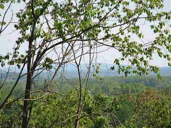 2nd image of 0 COUNTY RT 113