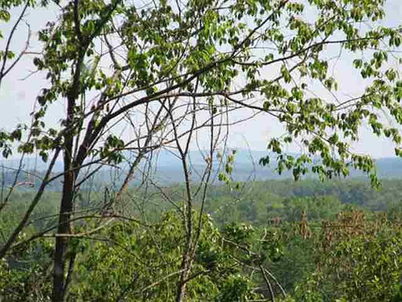 2nd image of 0 COUNTY RT 113