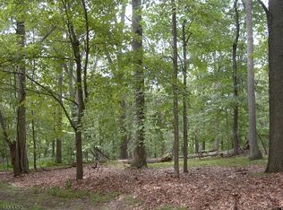 8 Heather Hl, Port Murray, NJ 07865