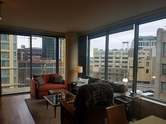 Living Room Windows