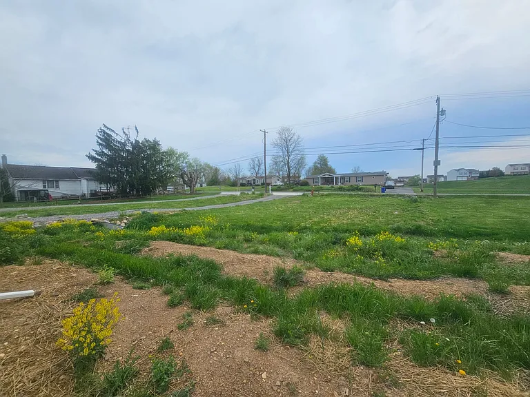 front yard to road