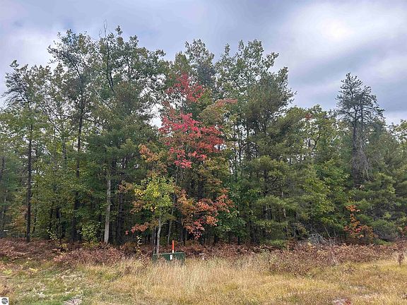 5th image of 7335 Camp Rd