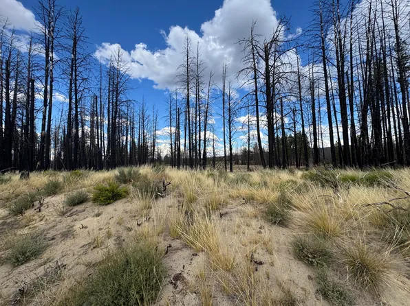 0 Shasta Fir Ln #9, Beatty, OR 97621