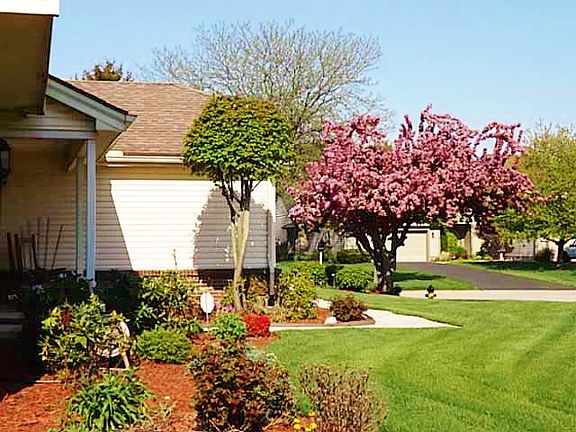 Lush landscaping surrounds the home