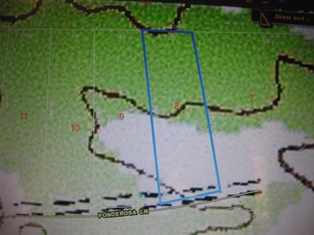 2nd image of 133 Ponderosa Ln