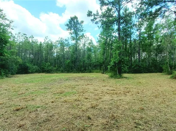 229 Frank Cole Rd, Longville, LA 70652