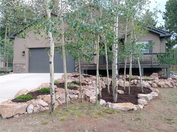 1165 Ptarmigan Dr, Woodland Park, CO 80863