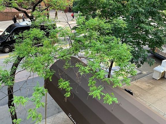 5th image of 7 Park Ave APT 3C