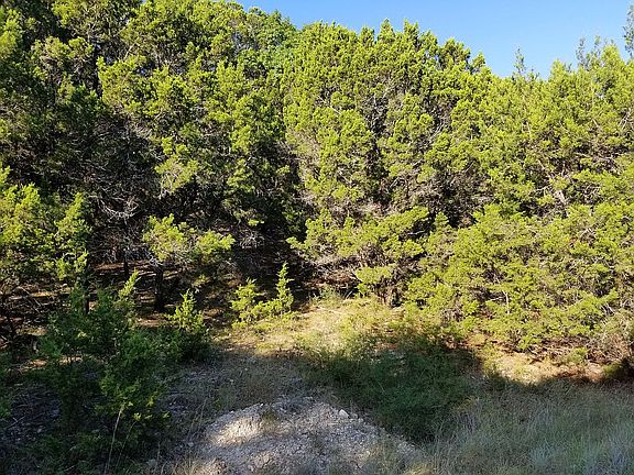 3rd image of 21003 Stone Cliff Dr
