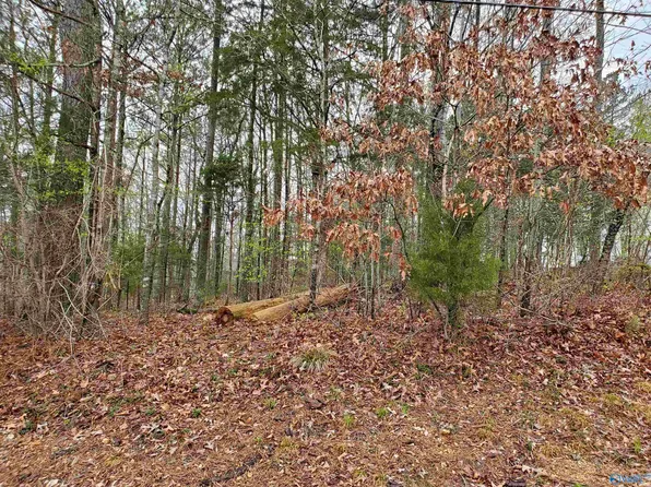 LOT 72 Hillcrest Dr, Scottsboro, AL 35769