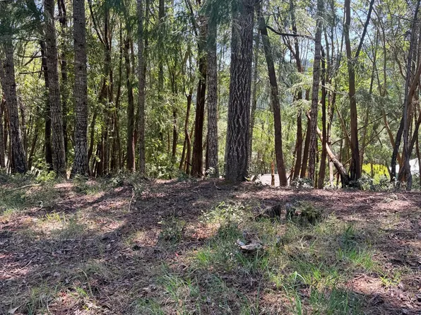 26940 Bear Drive, Willits, CA 95490