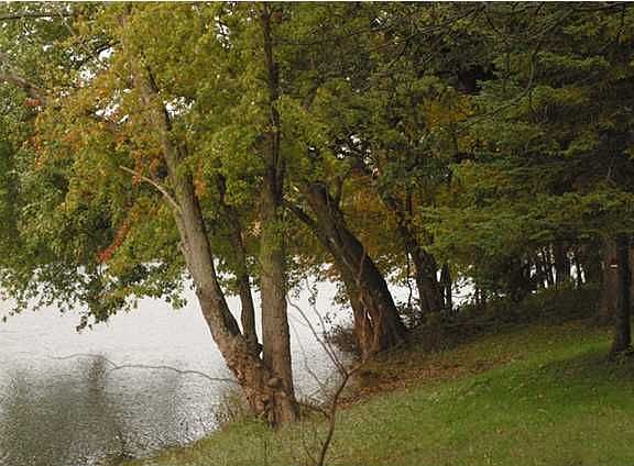 River front
