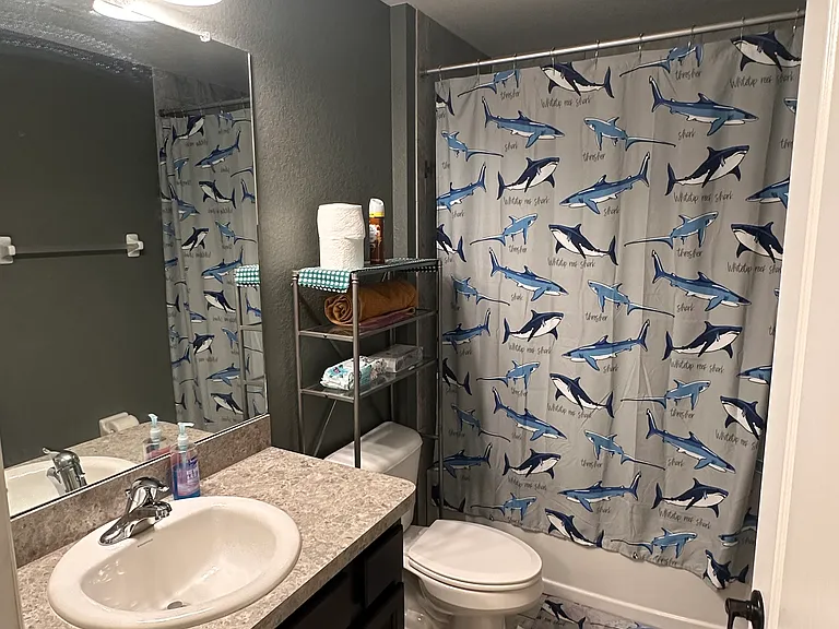 guest/hall bath