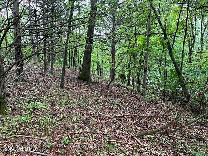 5th image of L2.2 Canniff Road
