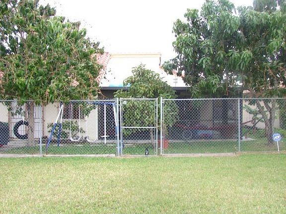 Mangos and Avocado trees