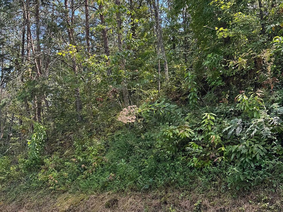 2nd image of Progress Hill Blvd
