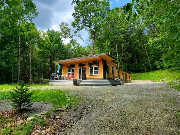 1283 N Sanford Rd, Afton, NY 13730