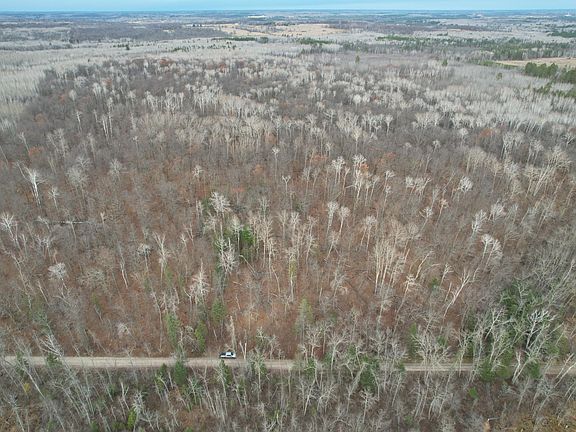 4th image of 35394 Gulch Forest Trl W