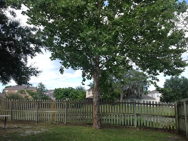 3913 Shawn Cir — Photo 24