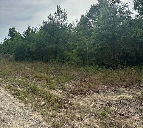 2nd image of Tbd Old Place Road