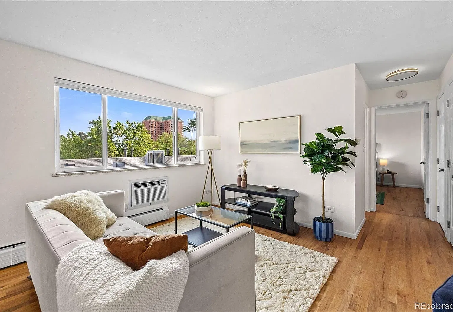 1 bed, 606 sqft, $1,550 — Photo 1