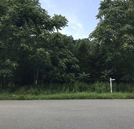 4th image of 47 Deerfield Dr