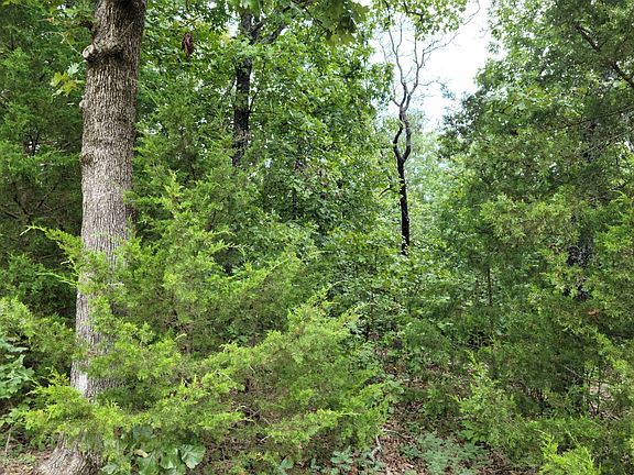 5th image of 0 Cherokee Acres Dr