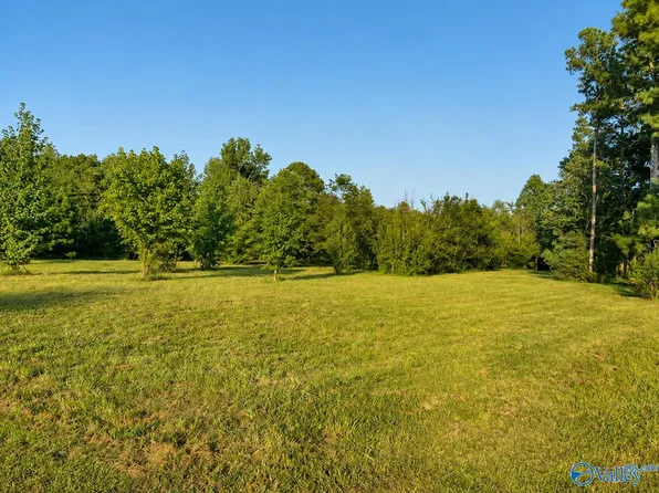 Hopewell Rd, Guntersville, AL 35976