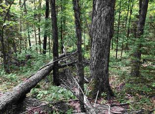 0 Town Hall Rd, Merrill, WI 54452