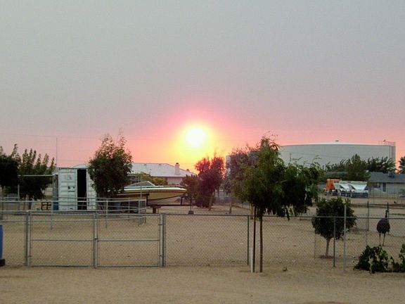 View of back yard summer sunset