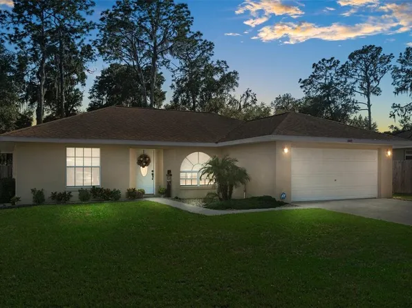 1085 County Road 463b, Lake Panasoffkee, FL 33538