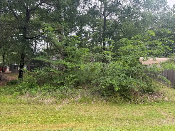 125 Trinidad Ln Lot 125, Pointblank, TX 77364