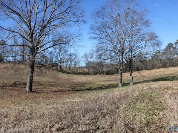 Duck Springs Rd, Attalla, AL 35954