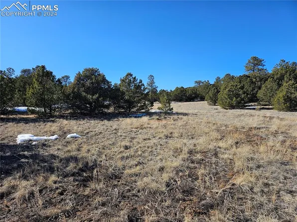 R Path, Cotopaxi, CO 81223