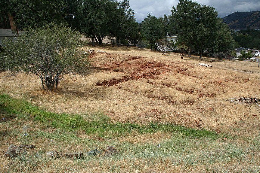 Lot view