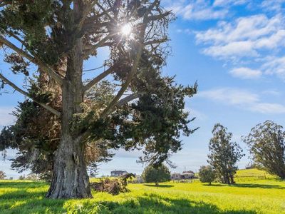 549 Fairview Court, Petaluma, CA, 94952
