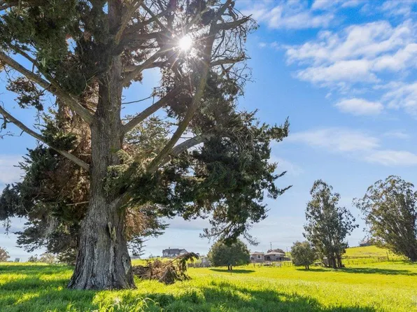 549 Fairview Court, Petaluma, CA 94952