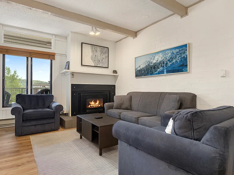 Gas Fireplace | Living Room | Pullout Sofa (Queensize)