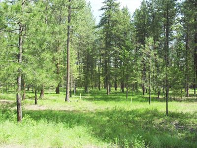 18XX Evans Cutoff Rd, Evans, WA, 99126