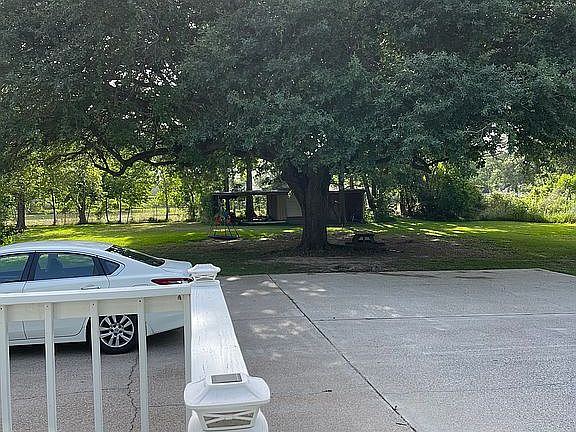 Live oak tree at back of pro