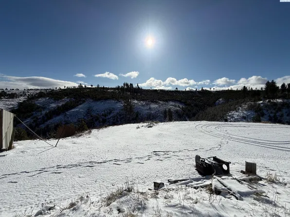 0 Mountain Rd, Pomeroy, WA 99347