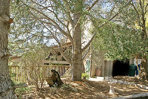 2827 Alhambra Dr photo 1