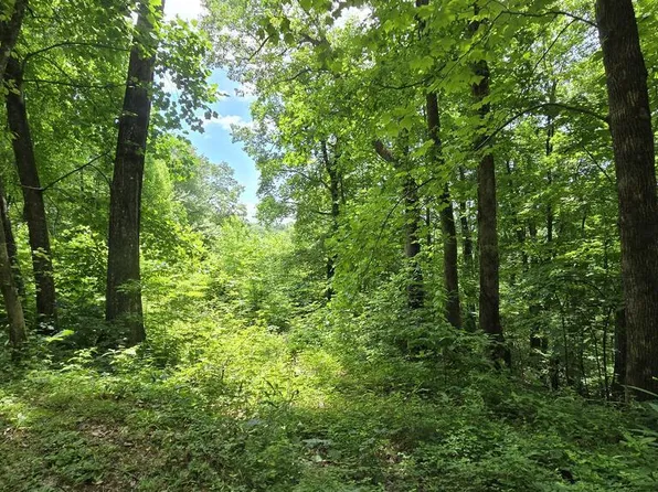 30 High Meadows Dr, Hayesville, NC 28904
